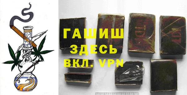 индика Алексин