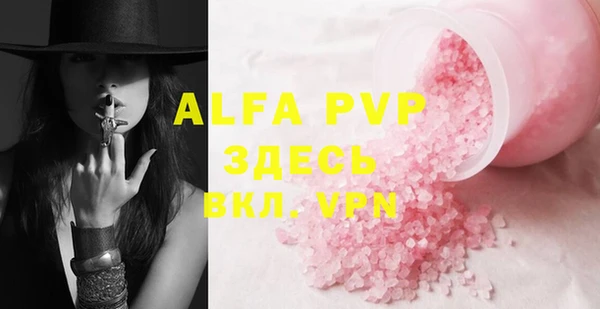 индика Алексин