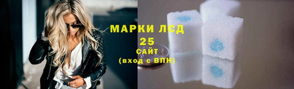 индика Алексин